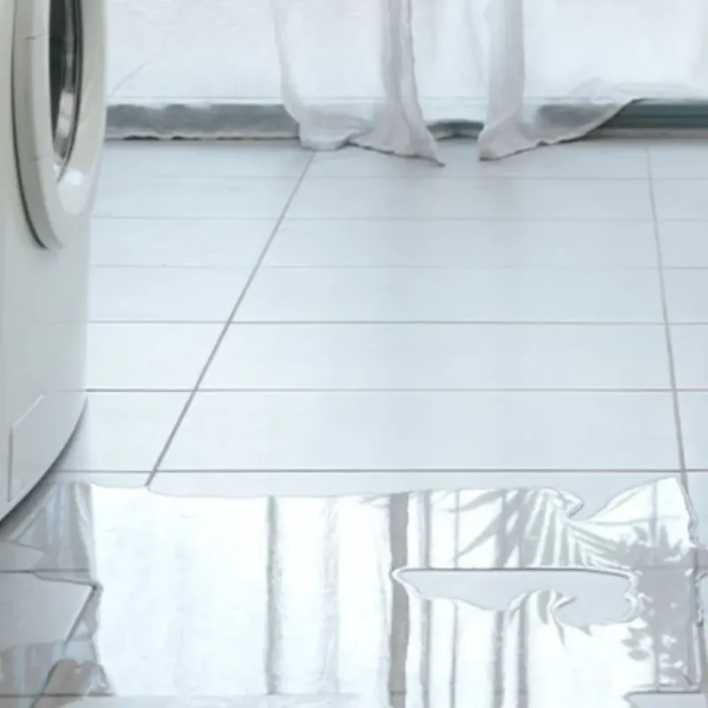 Appliance Leak Cleanup in Springerville, AZ